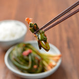 [Free Separate Shipping] Jeollanam-do Saebyeok Farm Kimchi - Green Onion Kimchi 2kg + Mustard Leaf Kimchi 2kg