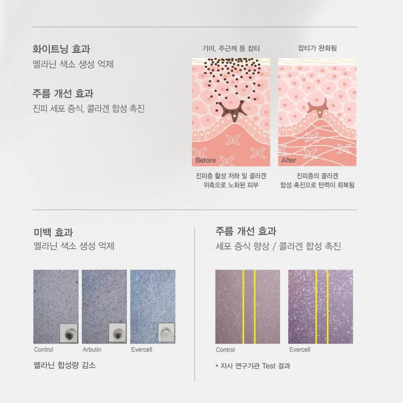 [CHA BIO] Evercell clinic cell acrivating program