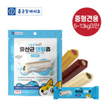 종근당 바이오 - 라비벳 유산균 덴탈츄 중형견용 (6개입, 고구마/산양유/블루베리 맛 中 택 1)