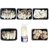 [Free Shipping Separately] 6-Variety Korean Mushroom Set (Shiitake, Oyster, Organic Oyster, King Oyster, Pine Mushroom, Enoki)