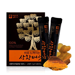 2 boxes of immediately noticeable Phellinus linteus (4-week supply)