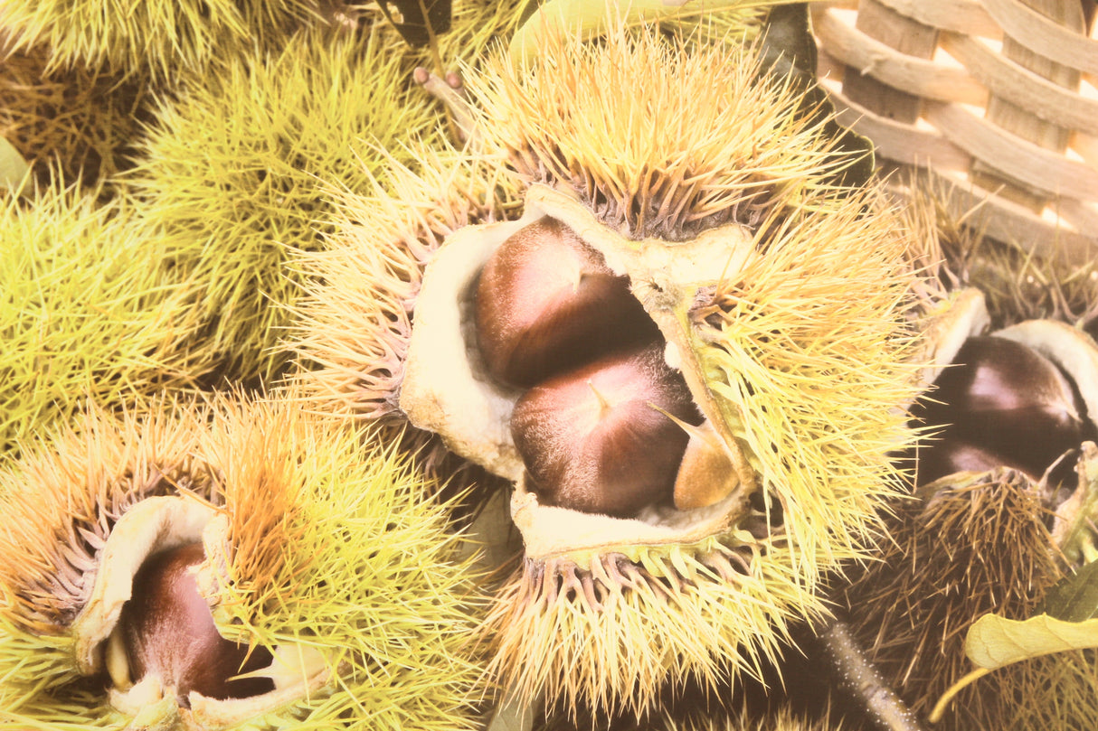 Altori Chestnuts, just like homemade boiled chestnuts 120g * 5 bags