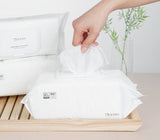 Everyday Convenience Large Size Wet Wipes 80 Sheets x 1 Pack