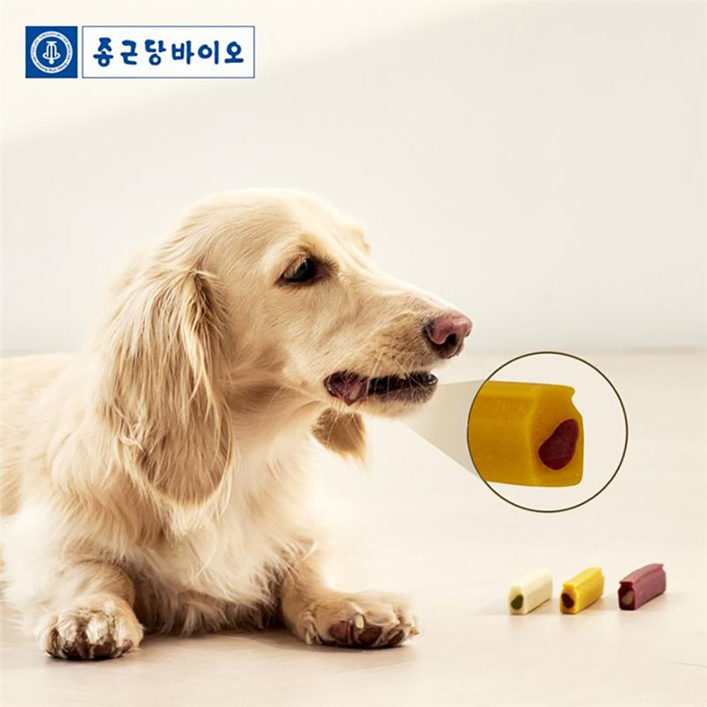 종근당 바이오 - 라비벳 유산균 덴탈츄 중형견용 (6개입, 고구마/산양유/블루베리 맛 中 택 1)
