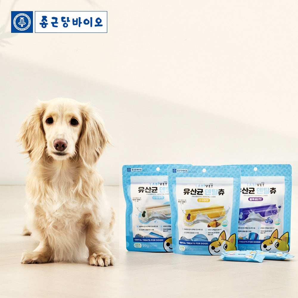 종근당 바이오 - 라비벳 유산균 덴탈츄 소형견용 (11개입, 고구마/산양유/블루베리 맛 中 택 1)