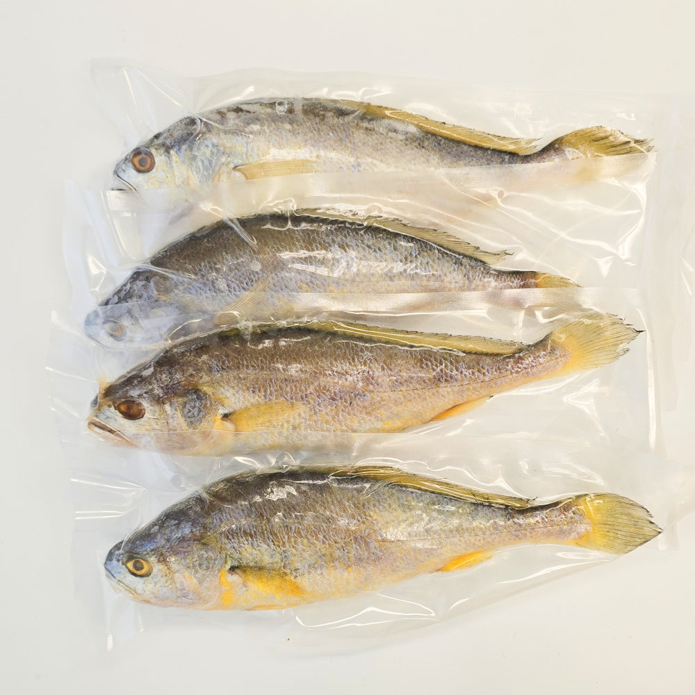 [Free Separate Shipping][Kkotma Fresh] Yeonggwang Beopseongpo Golden Dried Yellow Croaker 4 Pieces (1kg) x 3 Boxes
