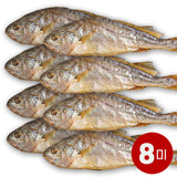 [Free Separate Shipping] Yeonwoo Gulbi Yeonggwang Beopseongpo Gulbi 2 Fish per pack x 4 packs (Total 8 fish)
