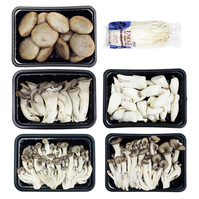 [Free Shipping Separately] 6-Variety Korean Mushroom Set (Shiitake, Oyster, Organic Oyster, King Oyster, Pine Mushroom, Enoki)