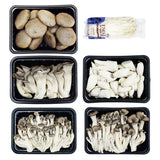 [Free Shipping Separately] 6-Variety Korean Mushroom Set (Shiitake, Oyster, Organic Oyster, King Oyster, Pine Mushroom, Enoki)