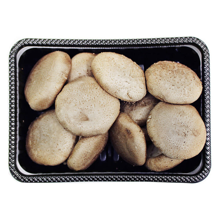 [Free Shipping Separately] 6-Variety Korean Mushroom Set (Shiitake, Oyster, Organic Oyster, King Oyster, Pine Mushroom, Enoki)