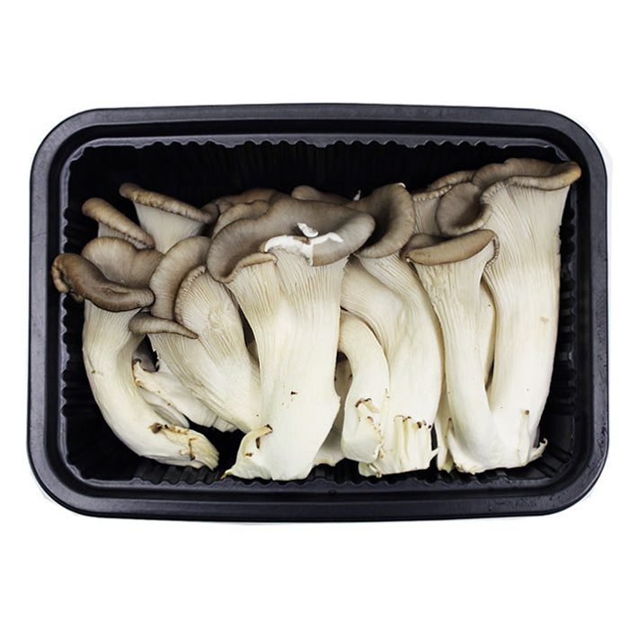 [Free Shipping Separately] 6-Variety Korean Mushroom Set (Shiitake, Oyster, Organic Oyster, King Oyster, Pine Mushroom, Enoki)