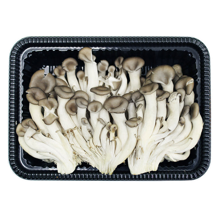 [Free Shipping Separately] 6-Variety Korean Mushroom Set (Shiitake, Oyster, Organic Oyster, King Oyster, Pine Mushroom, Enoki)
