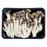 [Free Shipping Separately] 6-Variety Korean Mushroom Set (Shiitake, Oyster, Organic Oyster, King Oyster, Pine Mushroom, Enoki)