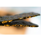 Dried Seaweed Snack Set (4 Flavors) 10g * 20 packs