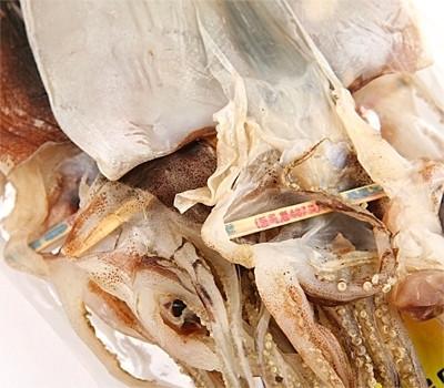 Premium Ulleungdo Squid (10 Count) 800g