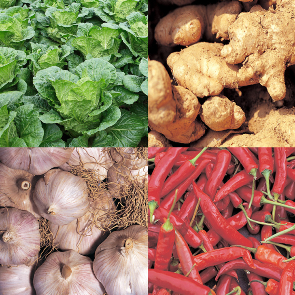 *LIMITED TIME OFFER* [SEPARATE FREE SHIPPING] BONGHWA COUNTY's Herbal Napa Cabbage Kimchi 10kg