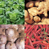 *LIMITED TIME OFFER* [SEPARATE FREE SHIPPING] BONGHWA COUNTY's Herbal Kimchi Set (Ponytail Radish Kimchi + Green Onion (Pa) Kimchi + Leaf Mustard (Gat) Kimchi