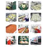 *LIMITED TIME OFFER* [SEPARATE FREE SHIPPING] BONGHWA COUNTY's Herbal Kimchi Set (Ponytail Radish Kimchi + Green Onion (Pa) Kimchi + Leaf Mustard (Gat) Kimchi