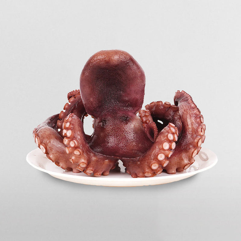 [MILLS EXPRESS] Boiled Whole Wild Stone Octopus (about 1.6kg)