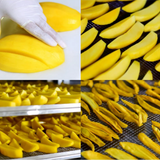 Hesed Dried Mango Slice 120g x 10 bags