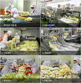 [PRE-ORDER] Pyeongchang Kotsooni White Kimchi with Pumpkin (2kg) + Ponytail Radish Kimchi (3kg)