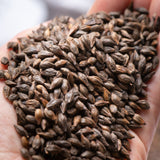 Black Barley Tea 300g