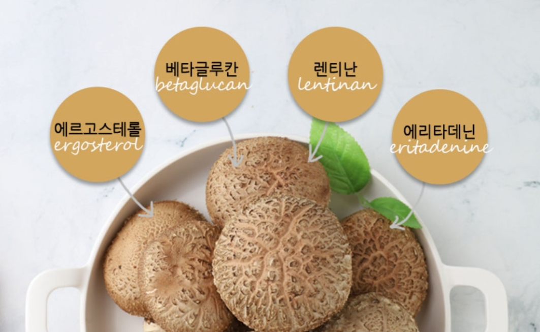 DAY.N Shiitake Mushroom Tea Bags (1.2g x 40 Tea Bags)