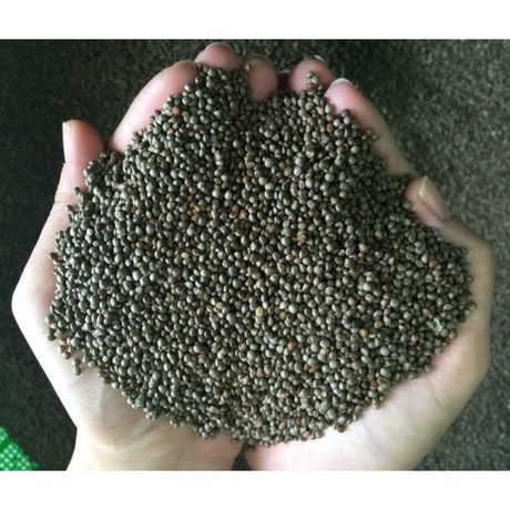Sancheong Hwangmaesan Raw Perilla Oil 250ml
