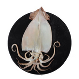 [PRE-ORDER] Korean Semi-Dried Squid 1.3 kg (10 pcs)