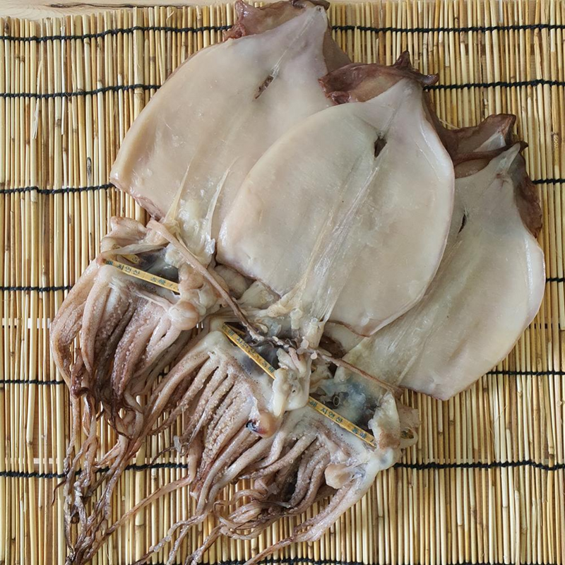 [MILLS EXPRESS] Korean Semi-Dried Squid 650g (5 pcs)