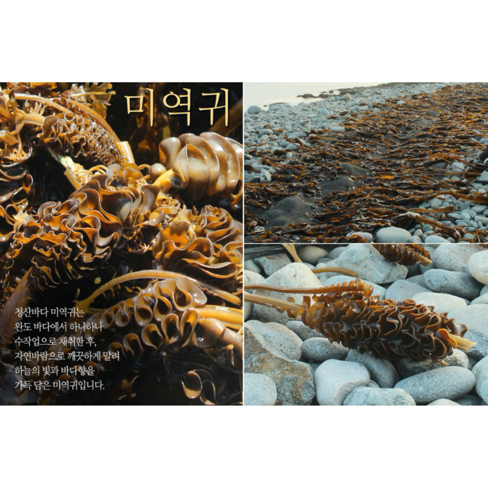 Mekabu Seaweed 100g