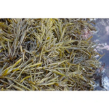 Korean Hijiki Seaweed (Tot) for Rice 100g