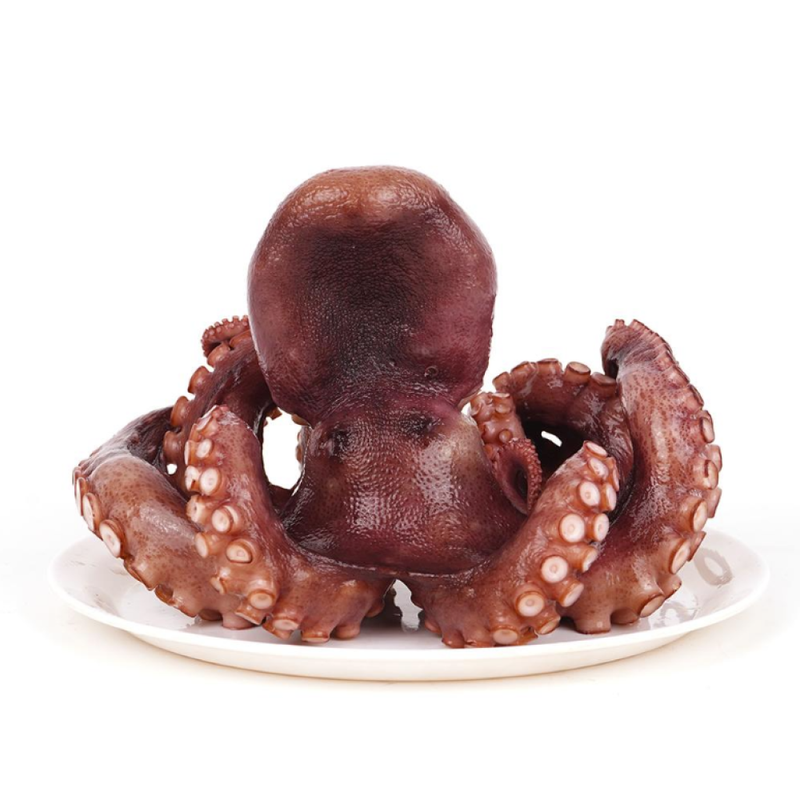 [SEPARATE FREE SHIPPING] Boiled Whole Wild Stone Octopus (about 1.6kg)