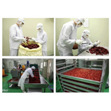Gangwondo Honey Red Pepper Paste (Honey Gochujang) 900g