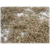 Hamcho (Glasswort) Salt 1kg
