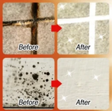 Miracle Mold Remover Gel 120g