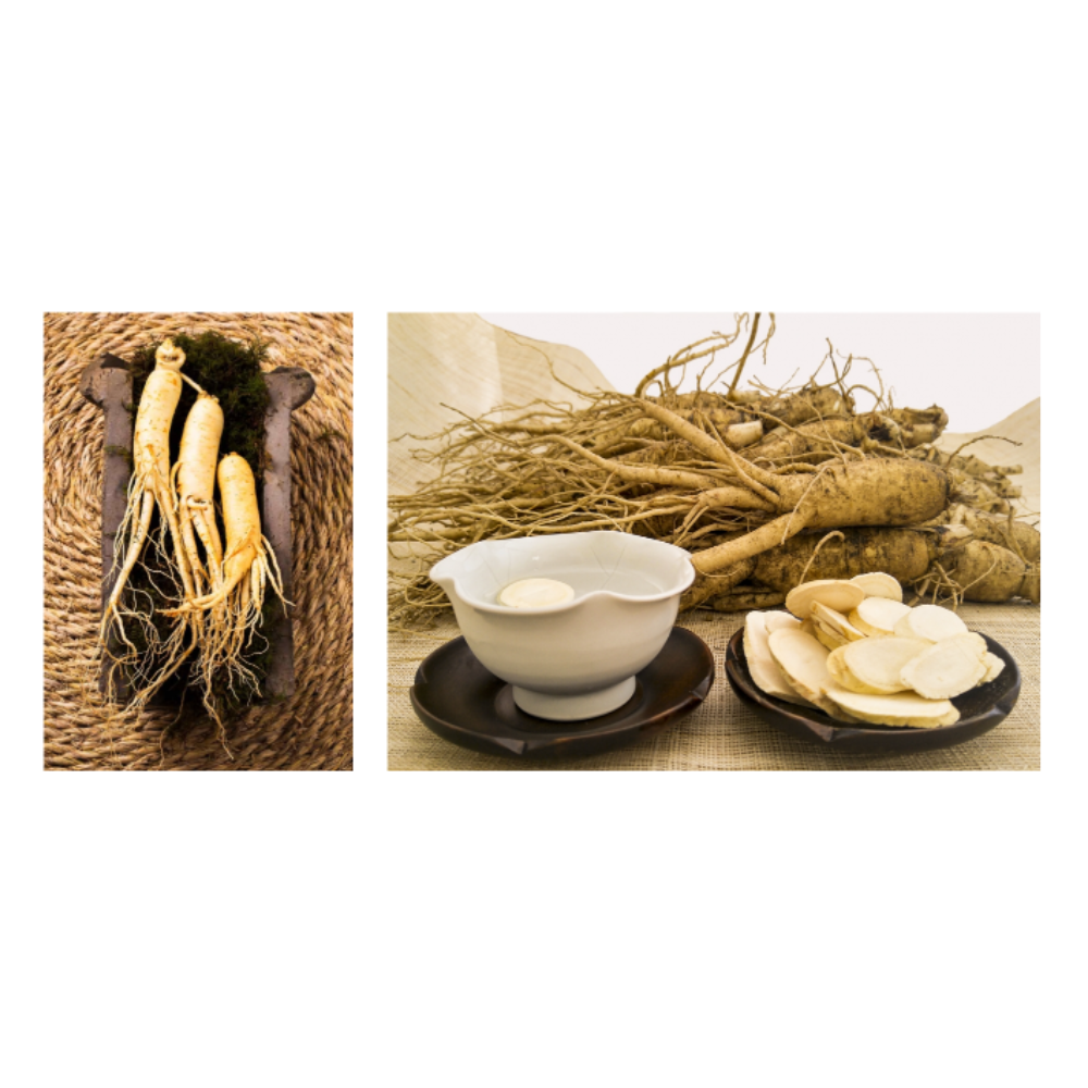 NOLMAE Korean Ginseng Chips by Ginseng Meister