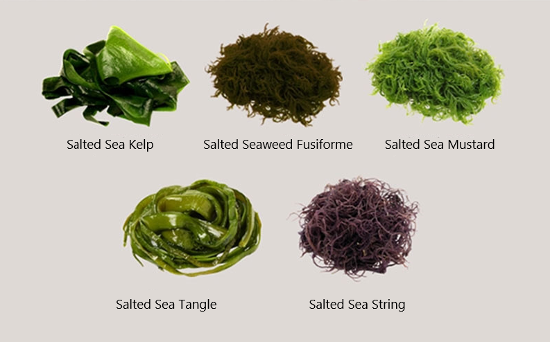 [MILLS EXPRESS] Finest Wando Salted Seaweed Variety (5 Options Available)